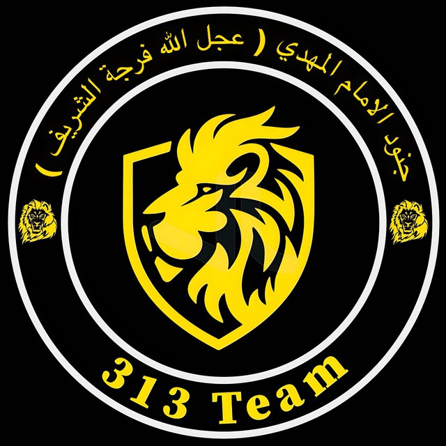 313 Team