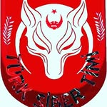 TURK SIBER TIMI