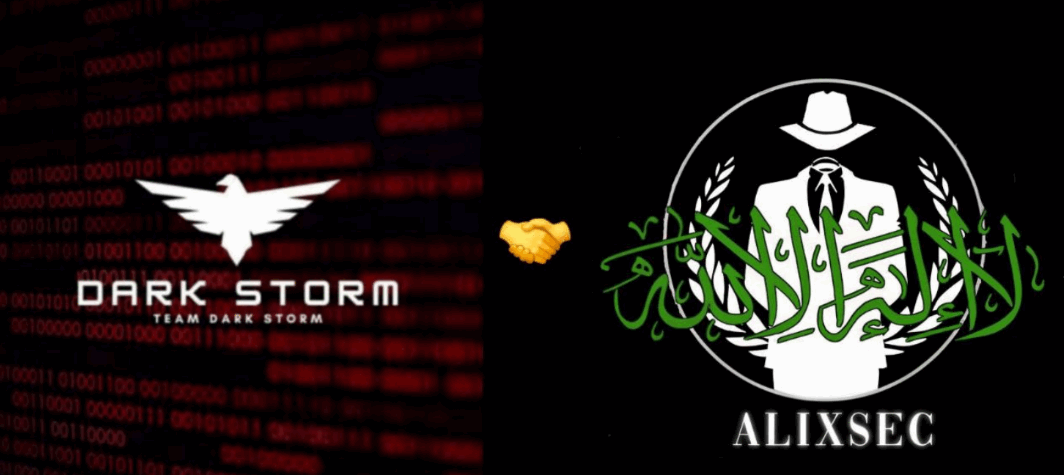 Alliance with Dark Storm Team