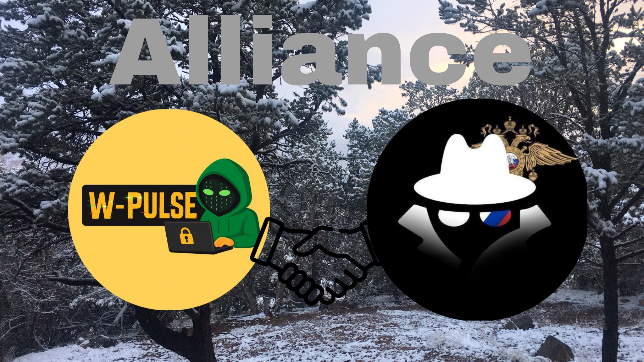 Alliance with White Pulse